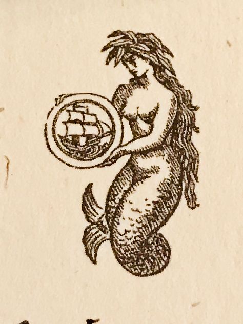 Medieval Mermaid Tattoo, Nautical Mermaid Tattoo, Siren Illustration, Mermaid Flash, Vintage Mermaid Tattoo, Siren Tattoo, Abstract Tattoo Ideas, Abstract Tattoos, Medieval Tattoo