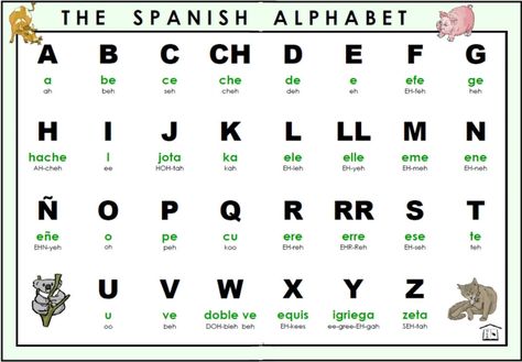 The Full Spanish Alphabet by Mora0711 on DeviantArt Spanish Quotes With Translation, Spanish Words For Beginners, Spanish Practice, Preschool Spanish, Spanish Classroom Activities, Spanish Colors, Learn To Speak Spanish, Spanish Basics, Spanish Lessons For Kids