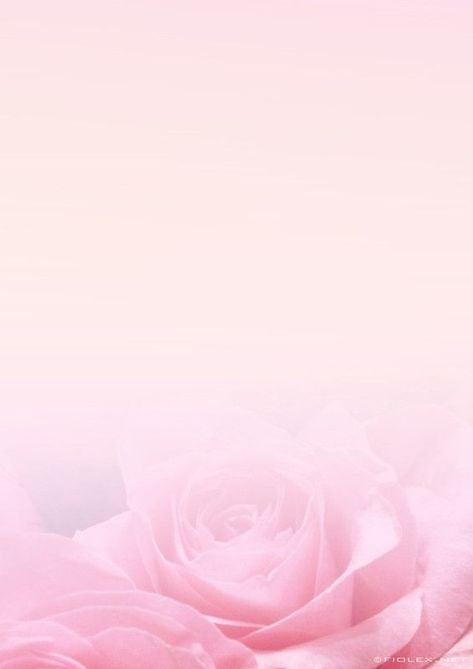 Floral Border Design, Flower Background Wallpaper, Flower Phone Wallpaper, Cellphone Wallpaper, Floral Background, Flower Backgrounds, Writing Paper, Pink Wallpaper, Paper Background