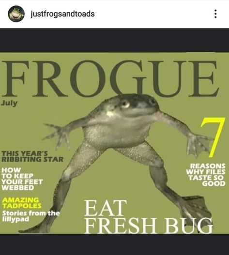 Frog Pictures, Funny Frogs, Frog Art, A Frog, Funniest Memes, Frogs, Want You, Funny Memes, Magazine