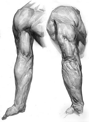 E. M. Gist Illustration/ Dead of the Day: August 2010 Arm Anatomy, Figurative Drawing, Istoria Artei, Human Anatomy Drawing, Neoclassical Architecture, Muscle Anatomy, Human Figure Drawing, Human Anatomy Art, Anatomy Sketches