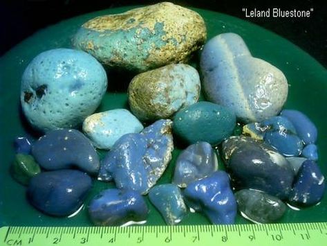 Lewanna peninsula Blue Stone hunting Petosky Stone, Leland Michigan, Leland Blue Stone, Michigan Rocks, Michigan Girl, Blue Stones Jewelry, Michigan Summer, Rocks And Fossils, Rock Hunting