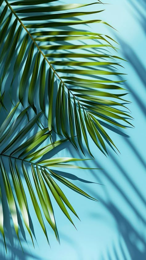 Palm tree leaf backgrounds outdoors. | premium image by rawpixel.com Nature Element Aesthetic, Iphone Wallpaper Palm Trees, Tropical Branding, Palm Trees Aesthetic, Background Design Aesthetic, Palm Leaves Background, Palm Tree Aesthetic, Palm Tree Background Wallpapers, Aesthetic Palm Trees Background