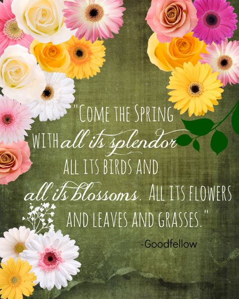 100 Quotes To Get You Ready For Spring Happy Spring Quotes, Flowers For Cricut, Spring Quotes Flowers, Quotes About Spring, Spring Break Quotes, Spring Desktop Wallpaper, Craft Signs, Gardening Quotes, Spring Cottage