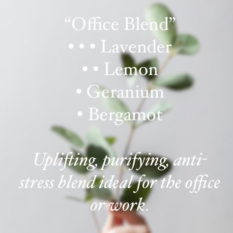 Home Office Diffuser Blend, Office Essential Oil Blends, Office Diffuser Blends, Spiritual Office, Diffuser Blends Doterra, Essential Oil Scrubs, Essential Oil Healing, Oils And Their Benefits, Oils For Diffuser