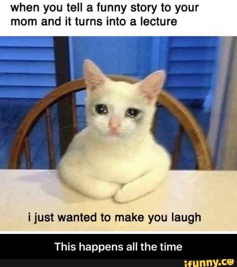 When you tell a funny story to your mom and it turns into a lecture ijust wanted to make you laugh This happens all the time - This happens all the time - iFunny :) Silly Cats Pictures, Funny Images Laughter, Memes Br, Funny Animal Jokes, Crazy Funny Memes, Very Funny Jokes, Cute Funny Quotes, Funny Fun Facts, Cute Memes