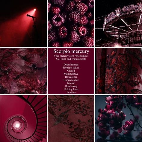 Mercury In Scorpio Aesthetic, Scorpio Mercury Aesthetic, Scorpiocore Aesthetic, Dark Astrology Aesthetic, Scorpio Sun Aesthetic, Red Burgundy Aesthetic, Mercury Scorpio, Scorpio Vibes Aesthetic, Scorpion Aesthetic