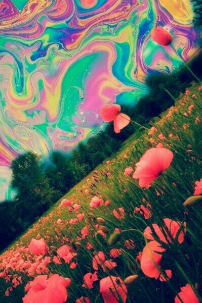 trippy sky by dixieee normus flowers trippy art psychedelic art Art Hippie, Trippy Art, Lush, Purple, Flowers, Wall, Green, Pink, Art