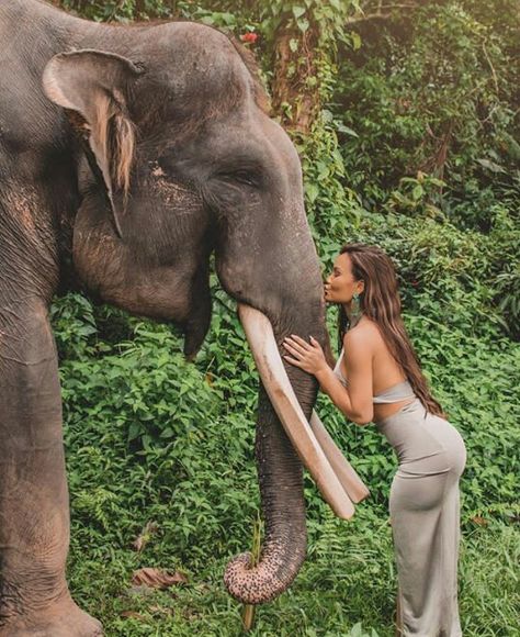 Bali Elephant, Bali Girls, Elephant Park, Elephant Photography, Daphne Joy, On Stranger Tides, Thailand Adventure, Elephant Sanctuary, Male Magazine