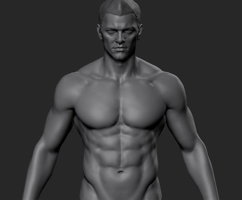 zbrush body by June Ho Cho on ArtStation. Inside Human Body, Zbrush Anatomy, Zbrush Models, Man Anatomy, Anatomy Sculpture, Suit Pin, Male Torso, Muscle Anatomy, Anatomy Poses