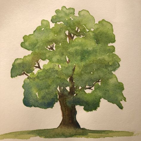 Simple Tree Watercolor, Watercolour Trees Simple, Watercolor Oak Tree, Mum Drawing, Oak Watercolor, Watercolor Trees Tutorial, Simple Tree Painting, Herbarium Ideas, Oak Tree Painting