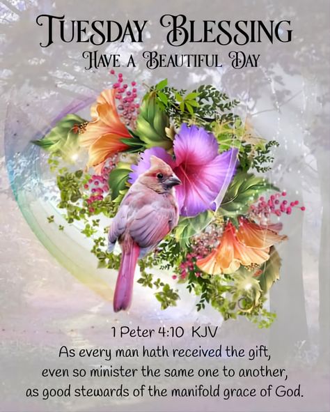 Scripture Blessings, 1 Peter 4 10, Tuesday Blessings, Motivational Scriptures, Peace Scripture, Flowers Quotes, Weekday Quotes, Biblical Womanhood, Good Morning Flowers Quotes