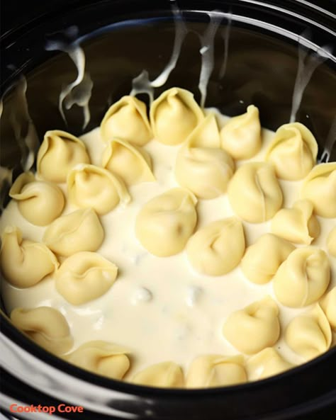 Cooktop Cove Recipes, Alfredo Tortellini, Cooktop Cove, Slow Cooker Kitchen, Tortellini Alfredo, Slow Cooker Meal, Tortellini Recipes, Slow Cooker Pasta, Cheese Tortellini