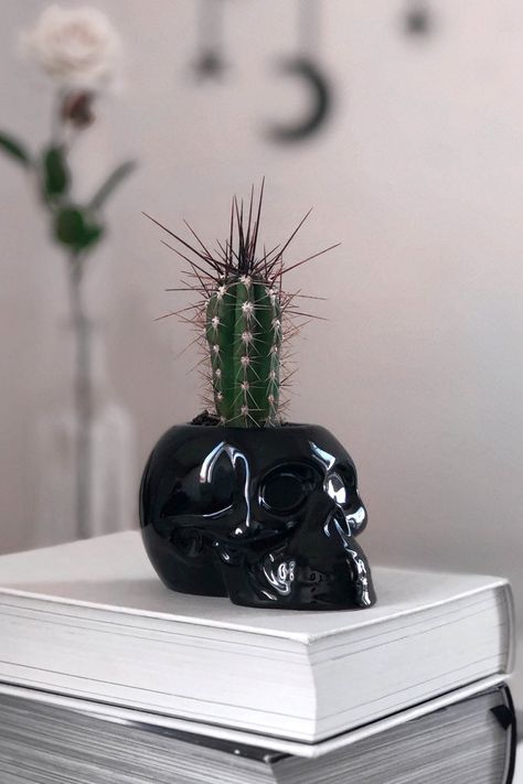 Skull Cookies, Skull Planter, Unique Home Accessories, Goth Home, Goth Home Decor, Small Succulents, Black Skull, Skull Decor, Ceramic Jars