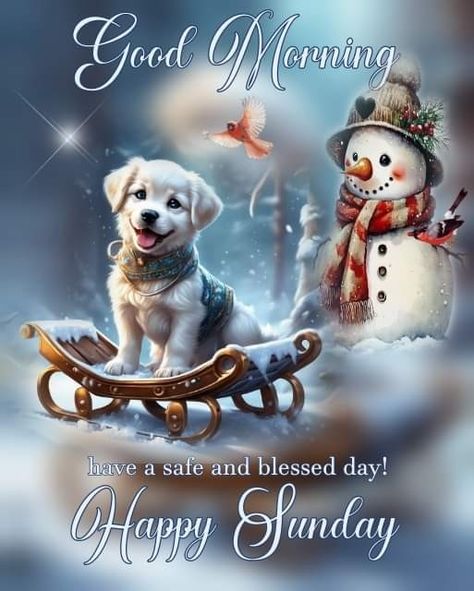 Good Morning Sunday Winter, Sunday Wishes Images, Good Morning God, Happy Birthday Sister Quotes, Good Morning Christmas, Good Morning Winter, Good Night Cat, Weekend Greetings, Sunday Morning Quotes