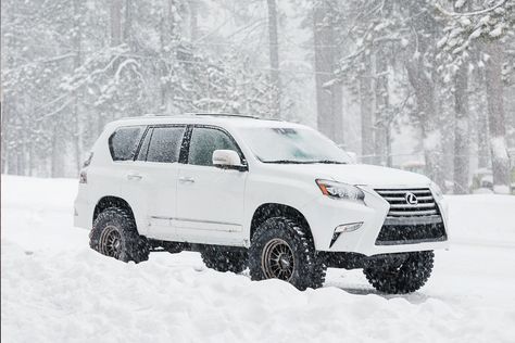 Gx460 Off Road, Lx570 Offroad, Offroad Wheels, Lexus Gx 460, Car Builds, Lexus Gx460, Land Cruiser 200, Off Road Wheels, Lexus Gx