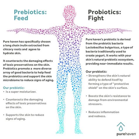 Top Reasons to Use Prebiotics & Probiotics in Skincare; April Fawcett, Pure Haven; www.purehaven.com/aprilfawcett #purehaven #nontoxic #nontoxicliving #workfromhome #nontoxicskincare  #strengthen #antiinflammatory #antiaging #protective #prebiotic #probiotic #skincare #natural #naturalliving #healthy #healthyliving #acne #antiaging #clearskin #organic #wrinkles #naturalskincare #naturalbeauty #cleanbeauty Natural Prebiotics, Probiotic Skin Care, Prebiotic Foods, Nontoxic Skincare, Probiotic Benefits, Natural Probiotics, Toxic Skincare, Prebiotics And Probiotics, Chicory Root