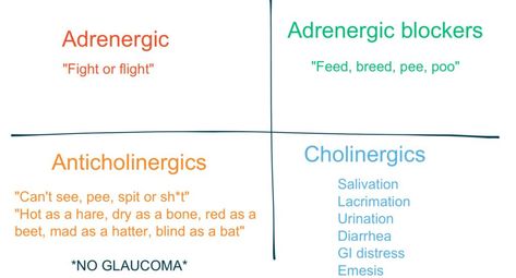 Adrenergic vs. Antiadrenergic vs. Cholinergic vs. Anticholinergic Nursing School Pharmacology, Nursing School Memes, Nursing School Scholarships, Nurse Practitioner School, Nursing School Prerequisites, Nursing Mnemonics, Nursing Student Tips, Pharmacy School, Pharmacology Nursing