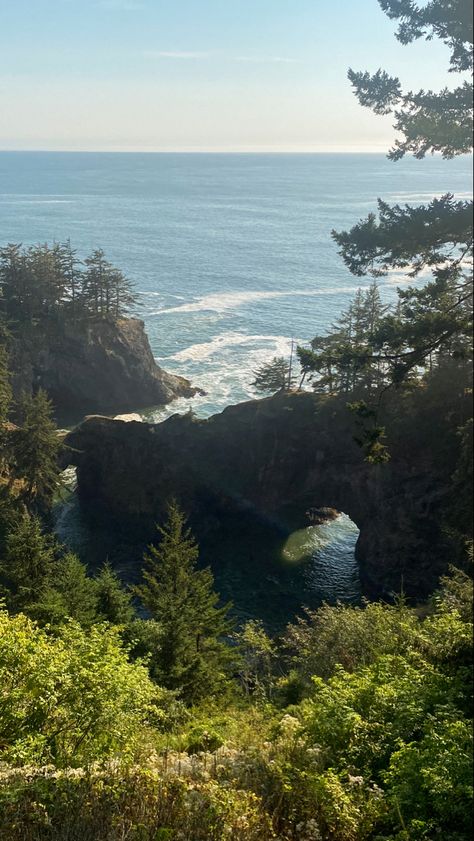 Oregon Coast Wallpaper, Natural Bridges Oregon, Samuel H Boardman State Park, Oregon Coast Aesthetic, Nature Oregon, Oregon Coast Roadtrip, Oregon Aesthetic, Oregon Nature, Oregon Coastline