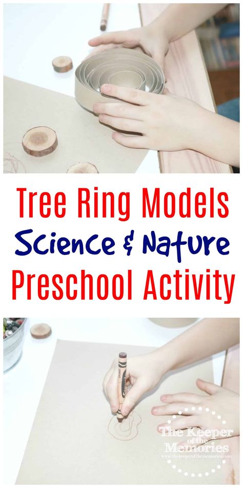 Preschool Life Cycles Tree Ring Model Literacy Activity for Little Kids - The Keeper of the Memories Trees For Preschool Learning, Family Tree Project For School, Tree Crafts For Toddlers, Family Tree Crafts, Tree Crafts Preschool, Life Cycles Preschool, Nature Preschool, Tree Life Cycle, Project For School