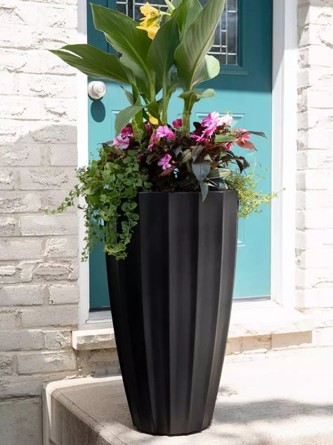 Pots Front Of House, Elevated Garden, House Staging, Bonsai Ficus, Marble Queen Pothos, Front Porch Planters, Elevated Planter Box, Cedar Planter Box, Porch Planters