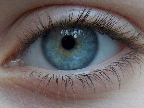 Blue Hazel Eyes, Blue Eyes Aesthetic, Rare Eye Colors, Forest Travel, Rare Eyes, Fly Love, Blue Eye Color, Eye Facts, Awesome Girl