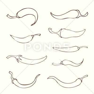 Serrano Pepper Tattoo, Italian Chilli Tattoo, Italian Pepper Tattoo, Chilly Pepper Tattoo, Chili Tattoo Minimal, Chilli Pepper Tattoo, Pepper Sketch, Chili Pepper Tattoo, Pepper Drawing