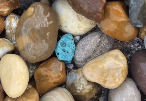 Glass Rocks, Iron Ore, Robins Egg, Rock Hounding, Robins Egg Blue, Aesthetic Beauty, The Blues, Crystal Collection, Rocks And Minerals