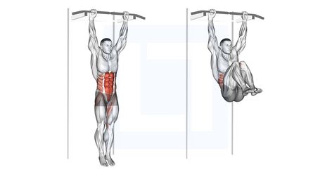 Tensor Fasciae Latae, Hanging Leg Raises, Hip Raises, Lower Abs, Pull Up Bar, Ab Workouts, Increase Flexibility, Leg Raises, Hip Flexor