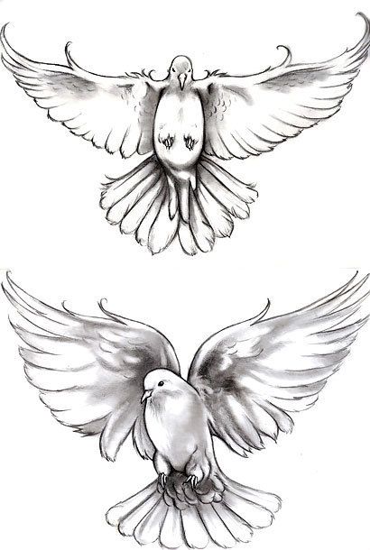 Cute black and gray doves for women. Style: Black and Gray. Color: Gray. Tags: Cute, Nice Dove Tattoo Meaning, Dove Sketches, White Dove Tattoos, Dove Drawing, Dove Tattoo Design, Dove Tattoos, Dove Tattoo, Kunst Tattoos, Memorial Tattoos