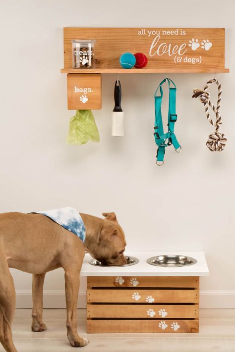 Organize your dog's leashestoysand food with style. Dog Room Decor, Dog Feeding Station, Dogs Diy Projects, Dog Corner, Colorful Hairstyles, Pet Essentials, Dog Home Decor, American Lifestyle, Dog Rooms