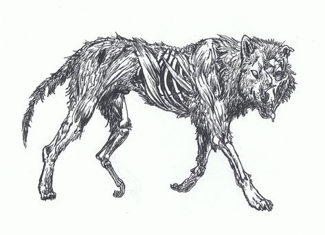 Wolf Skeleton, Zombie Drawings, Skeleton Tattoo, Skeleton Drawings, Bone Tattoos, Skull Art Drawing, Skeleton Tattoos, Wolf Tattoo, Wolf Art