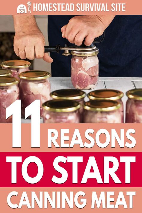 Pressure Canning Meat, Canning Meat, Canned Meats, Pressure Canning Recipes, Home Canning Recipes, Canning Food Preservation, Canned Meat, Emergency Preparation, Urban Survival