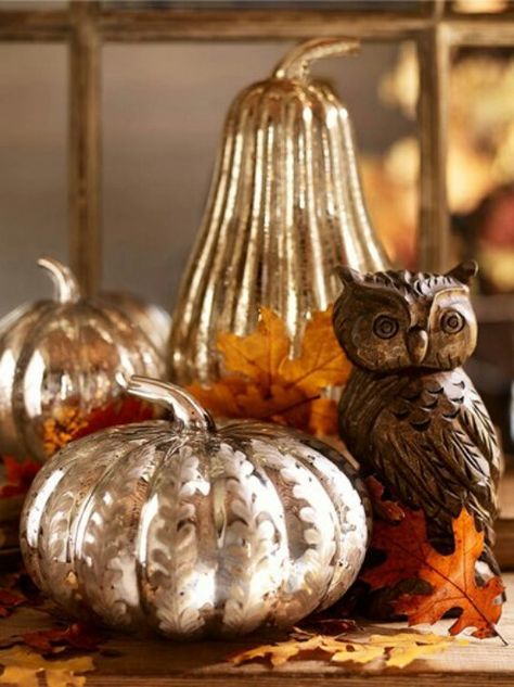 Looking for a cute owl? Hobby Lobby has cute owls around $6 like this one shown. I found a mercury glass one at 40% off ($7). No joke. Mercury Glass Pumpkins, Pumpkin Cottage, Table Halloween, Fall Thanksgiving Decor, Fall Deco, Fall Is In The Air, Autumn Decorating, Love Autumn, Fall Decorating Ideas