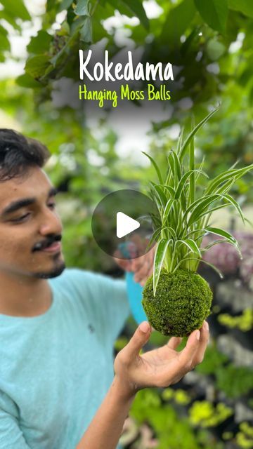 𝑻𝒉𝒆 𝑮𝒂𝒓𝒅𝒆𝒏𝒆𝒓 𝒃𝒚 𝑭𝒂𝒚𝒂𝒔 on Instagram: "That's how I make kokedama, The simplest way Try , try and tryyy!😁  #reels #diy #kokedama #mossballs #moss #terrarium #gardencraft #hangingplants" Kokedama Display Ideas, Diy Small Terrarium, Moss Diy Projects, Moss Art Diy, Diy Pots For Plants, Moss Crafts, Kokedamas Ideas, Diy Kokedama, Moss Diy