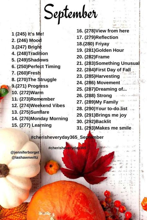 Here are the September Photo a Day Prompts for the Cherish Everyday 365 Photography project on Instagram. September Photo Challenge, September Instagram, Photography Prompts, September Days, September Challenge, Photo A Day Challenge, Photo Prompts, Film Photography Tips, Instagram Challenge