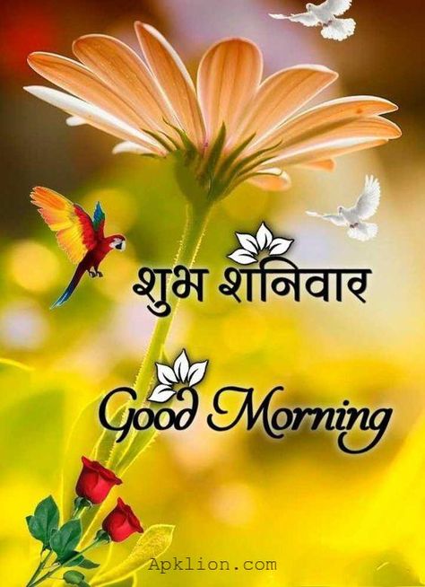 Shubh Shanivar, Pottery Kit, Good Morning Beautiful Gif, Friends Images, Good Morning Life Quotes, Good Morning Friends Images, Morning Friends, Morning Beautiful, Good Morning Coffee