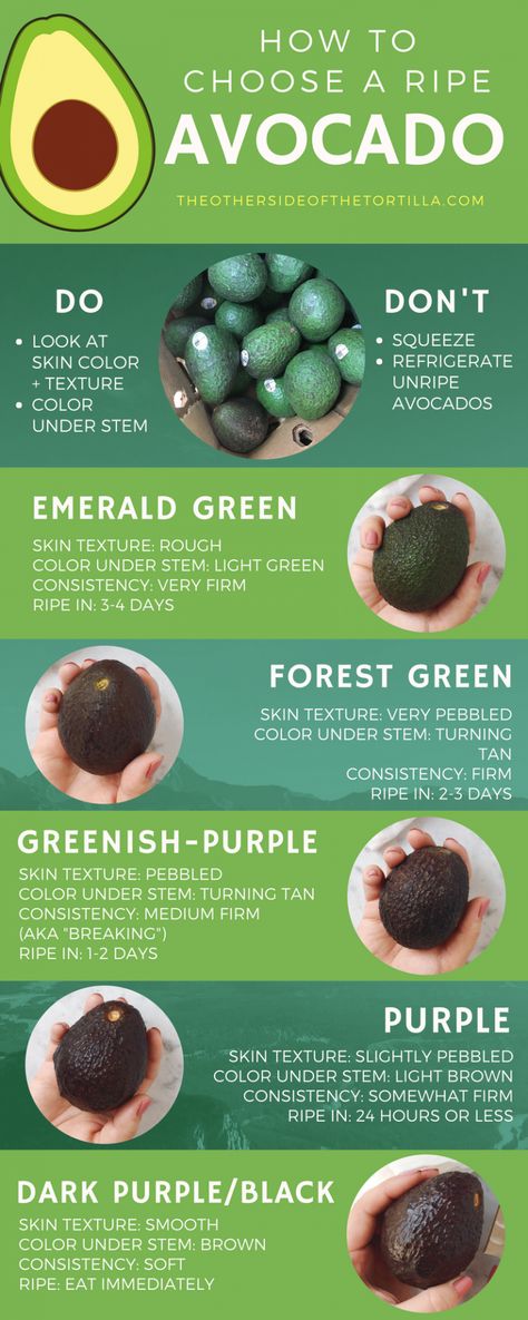 A guide on how to choose ripe avocados every time, via theothersideofthetortilla.com Healthy Recipes Avocado, How To Eat Avocado, Avacoda Toast Recipes, Avocado Ripe, Dinner Avocado, Avocado Recipes Healthy, Toast Avocado, Recipes Avocado, Salad Avocado