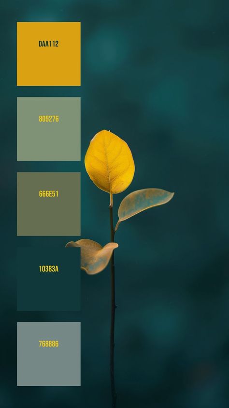 Colors:
DAA112
809276
666E51
10383A
768886 Dandelion Color Palette, Blue Green Wedding Colors, Vivid Color Palette, Yellow Colour Palette, Dandelion Color, Stages Of Growth, Hex Color, Yellow Leaf, Hex Color Palette