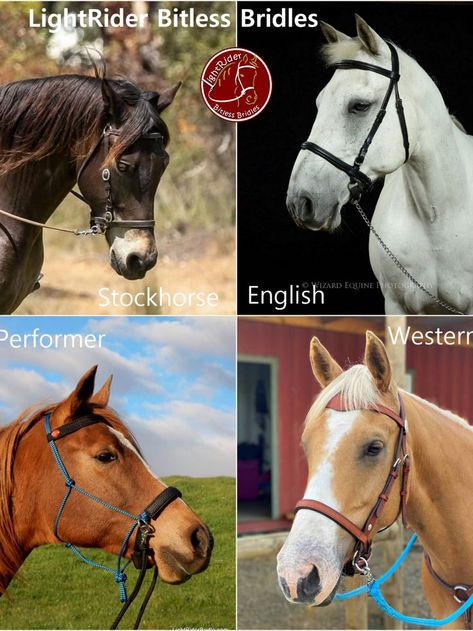 LightRider Bitless Bridle Styles Bitless Bridle Western, Bitless Bridle, Western Horse Tack, Horse Bridle, Horse Health, Bridles, Western Horse, Horse Tack, Around The World