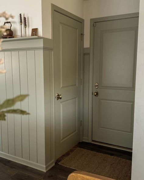 Paint Doors In Hallway, Painted Door And Trim Same Color, Painting Trim And Doors Same Color As Walls, Painted Bathroom Door, Add Trim To Door, Colored Trim And Doors, Wainscoting Paint Colors, Doors Painted Same Color As Walls, Contrasting Trim Paint