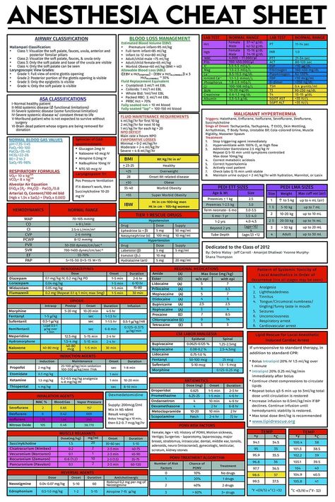 Anesthesia Cheat Sheet, Anesthesia Notes, Anesthesia School, Charting For Nurses, Nursing School Studying Cheat Sheets, Medical Terminology Study, Medical Assistant Student, Nursing School Essential, Medical School Life