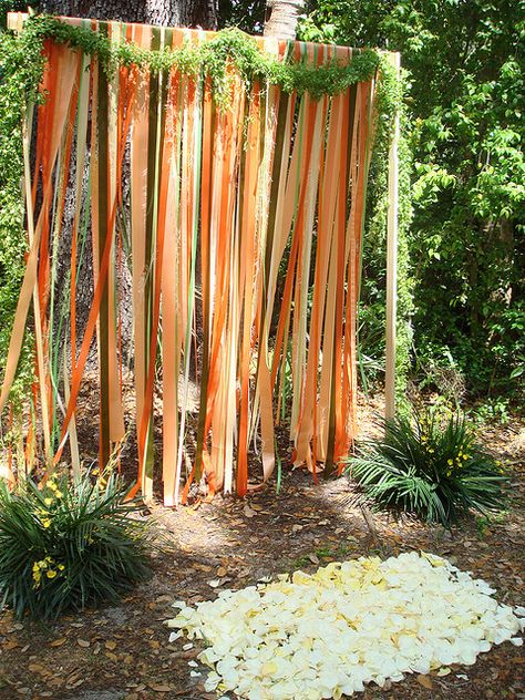 Ribbon Curtain 1 by ThalloDesign, via Flickr Fall Photo Booth, Ribbon Curtain, Ribbon Backdrop, Outdoor Wedding Backdrops, Fall Backdrops, Fall Carnival, Diy Wedding Arch, Diy Outdoor Weddings, Harvest Fest