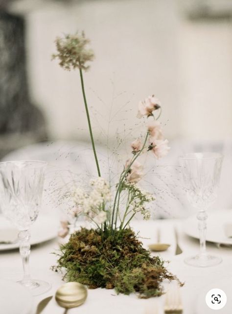 Moss Mushroom, Swan House Wedding, Katie White, Moss Centerpieces, Moss Wedding, Swan House, Tablescape Ideas, Wedding Traditions, Organic Wedding