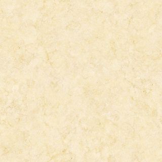 High Resolution Textures: Marble Sandstone Texture Seamless, Cream Colour Background, Floor Texture Seamless, Sandstone Flooring, Grass Texture Seamless, Rendering Styles, Stucco Paint, Mountain Texture, New Home Ideas