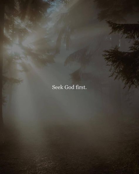 Seek First His Kingdom, Best Self Quotes, Obey God, Matthew 6 33, Losing My Religion, Pictures Of Christ, Best Bible Verses, But God, Words Of Hope