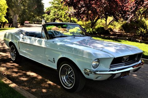 For Sale: 1968 Ford Mustang Convertible (Diamond Blue, J-Code, 302ci V8, 3-speed auto) 1967 Mustang Convertible, Ford Mustang 1968, Elk Grove California, Blue Mustang, 1968 Ford Mustang, 1968 Mustang, Vintage Mustang, 1967 Mustang, Ford Mustang Convertible