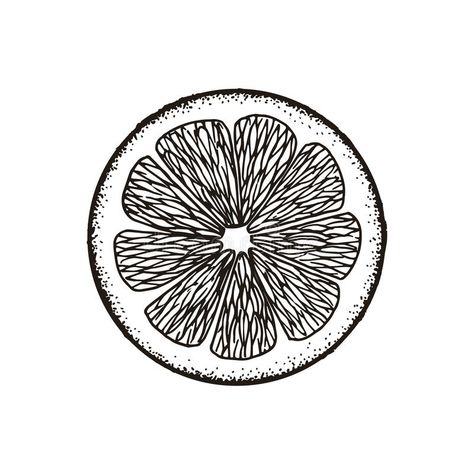 Orange Slice Line Drawing, Orange Slice Sketch, Orange Drawing Black And White, Grapefruit Slice Tattoo, Orange Sketch Drawing, Grapefruit Tattoo Black, Lemon Slice Illustration, Lime Slice Drawing, Orange Slice Illustration