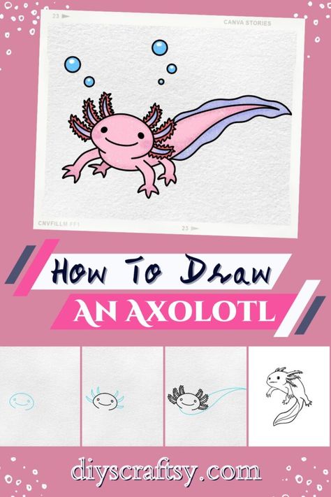 Unveiling the secrets behind creating lifelike illustrations of these alluring amphibians. This tutorial will transform you into an axolotl-artist extraordinaire in no time. Designed for enthusiasts of all skill levels. This guide offers a unique blend of expert tips, crystal-clear instructions, and pure creative inspiration. So, gear up for an artistic escapade like never before and let the enchanting world of axolotl drawing awaken your creative genius! Drawings Of Axolotls, How To Draw Axolotl, How To Draw A Axolotl, How To Draw An Axolotl, Amphibian Activities, Draw Axolotl, Draw An Axolotl, Axolotl Craft, Reptile Activities