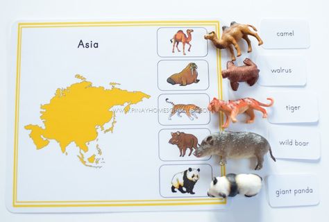 Montessori Animal Continents Activity Sheets Continents Activities, Montessori Science, Montessori Geography, Asia Continent, Geography For Kids, Homeschool Geography, Montessori Toddler Activities, Learning Games For Kids, Montessori Ideas